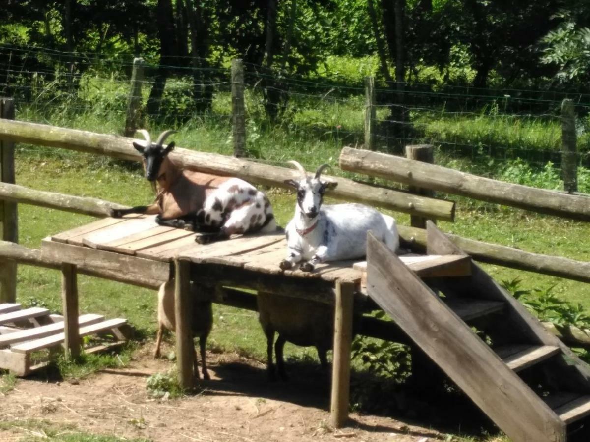 Le Paradis Des Animaux Coublevie Zewnętrze zdjęcie