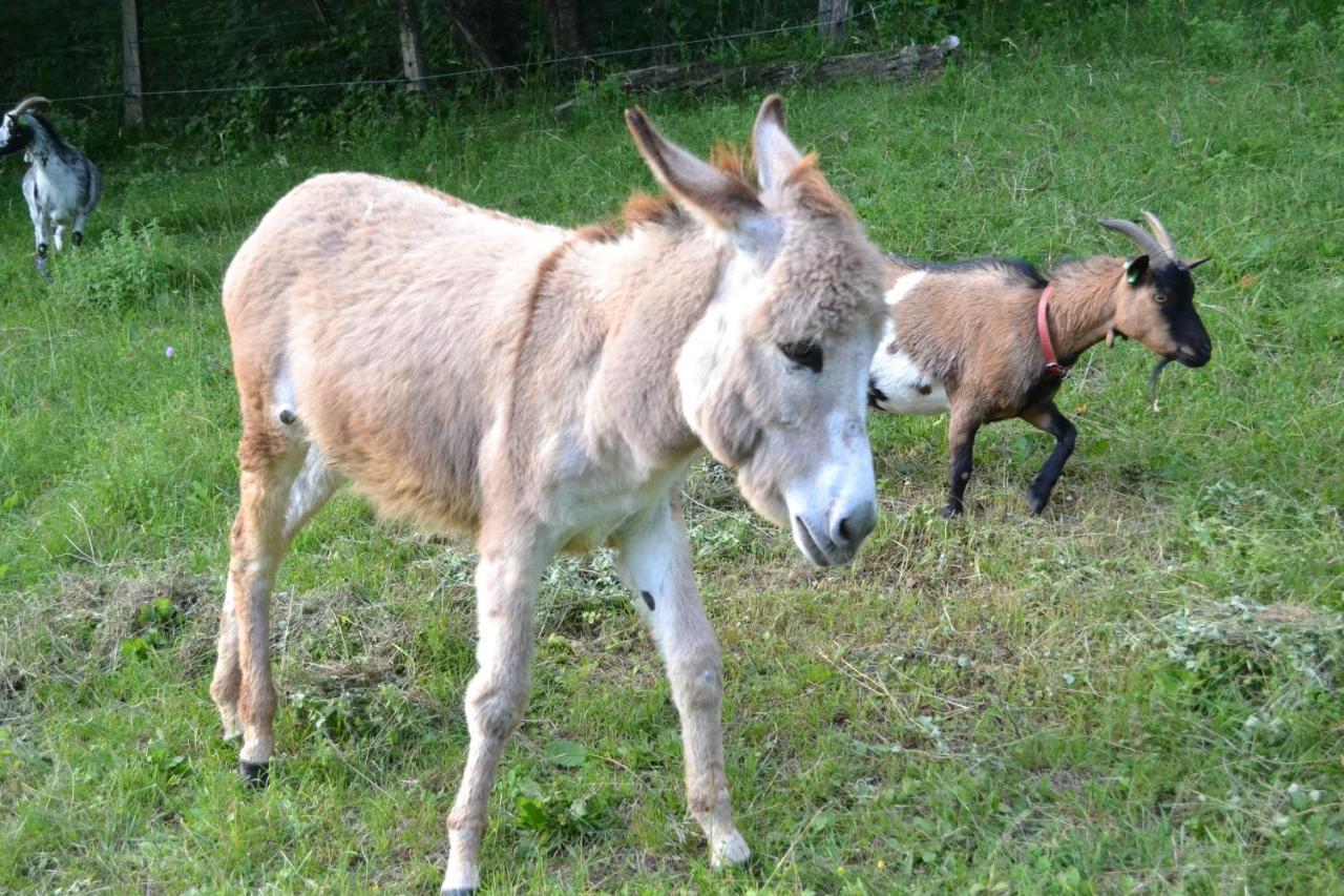 Le Paradis Des Animaux Coublevie Zewnętrze zdjęcie